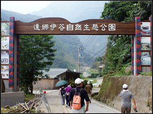 阿里山日出小火車+達娜伊谷生態公園二日遊